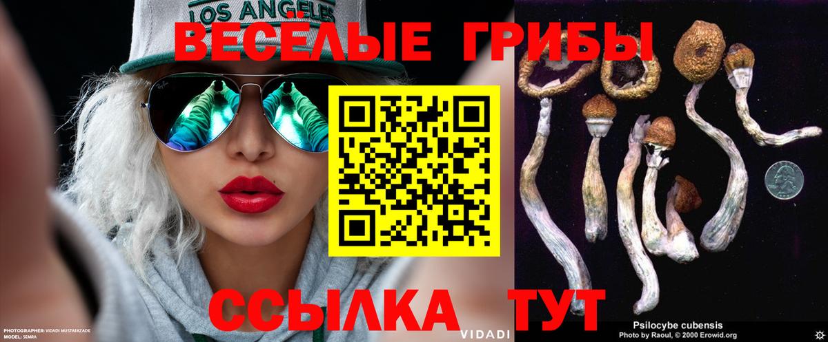 Псилоцибиновые грибы Magic Shrooms Красноуфимск